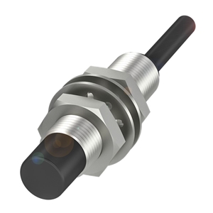 BES M12MG-PSC80F-BP05 (BES04TL)