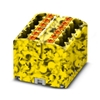 PTFIX 12X2,5-FE