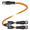 V1-G-OR0,3M-POC-T-0,6M-V1-G