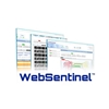 WEBSENTINEL PLUS SERVER PREMIUM