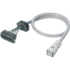 RA-C4-PPB/C3-1M5