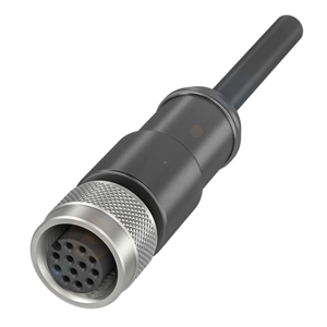 BCC M41C-0000-1A-169-PS0C25-100-C009 (BCC0JCP)