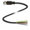 V19-G-BK2M-PUR-IEC