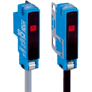GSE2FS-N1161