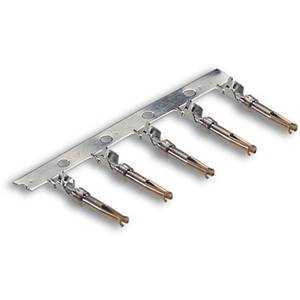 44429008 | EPIC D-Sub BCBG AU G2 0,22-0,56 (500)