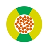 4520004 | H07V-K 1X6 GNYE