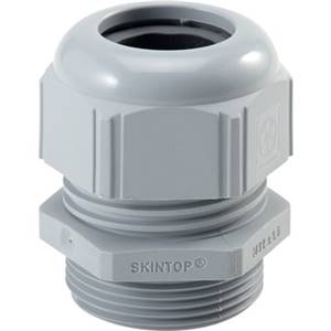 53017130 | SKINTOP STR ISO M 20x1,5 RAL 7001 SGY