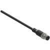VF CF5PD3M