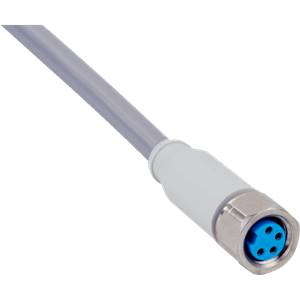 DOL-0804-G02MNI