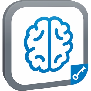 INTELLIGENT INSPECTION LICENSE