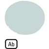 M22-XDL-W-D4