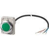 C30C-FL-G-24-P65