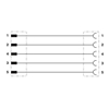SAC-5P-M12MS/2,0-PVC/M12FS