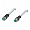 V31-GM-7M-PUR-V31-GM