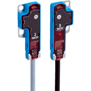 GSE2F-P1161