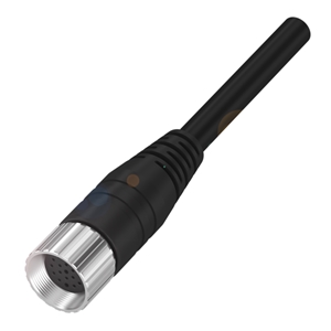 BCC M61L-0000-10-022-PX0LP4-150 (BCC0HME)