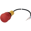 C22-PV-K11-P62