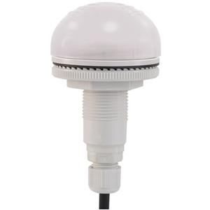 91346 | P50 A LED M12 WHI V12/24DAC