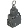 FX 1173-M2