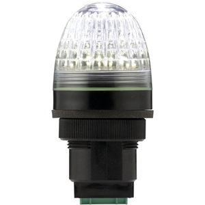 91236 | P40 JUNIOR CLR V12/24DAC BK