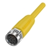 BCC M418-0000-1A-069-PX4825-003-C033 (BCC0L3Z)