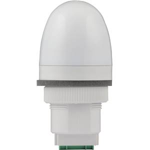 91167 | P40 RGA STEADY V12/24DAC GY