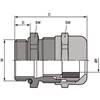 53112779 | SKINTOP MS-M 63x1,5 PLUS ATEX