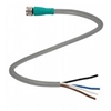 V31-GM-5M-PUR-ABG-Y222310