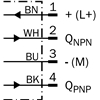 WFL5-95B416