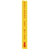 VF AP-A1AGR08