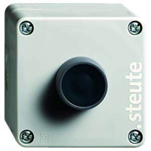 1185035 | RF BF 72 RT bouton-poussoir noir EN868