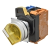 A22NW-2MM-TYA-G100-YC