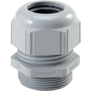 53111010 | SKINTOP ST-M 16x1,5 RAL 7001 SGY