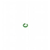 V1-MARKING-RING-GREEN