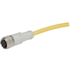 CSAS4A4CY2205