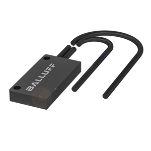 BFO D22-XA-ED-EAK-250-02 (BFO0060)