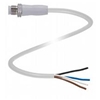 V1S-GV4A-5M-PP-W1