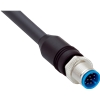 YM2A2B-100UD3XLEAX