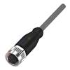BAV BP-PH-00121-01 (SET018F)
