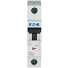 FAZ-K2/1