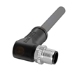 BCC M425-0000-2L-150-PX85A5-100 (BCC0L3F)