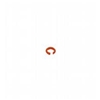 V1-MARKING-RING-ORANGE