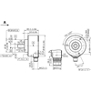 DFS60A-S4AA49518