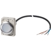 C30C-FDRL-W-K10-24-P62