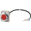 C30C-FL-R-24-P62
