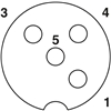 SACB-8/ 8-L-C GG SCO