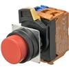 A22NN-BPM-NRA-G100-NN