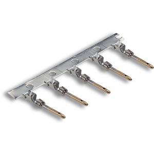 44429012 | EPIC D-Sub SCBG AU G2 0,22-0,56 (500)