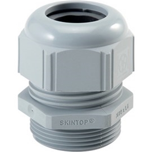 53017030 | SKINTOP ST ISO M 20x1,5 RAL 7001 SGY