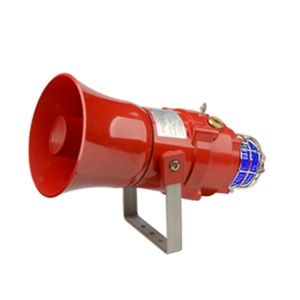 BEXCS11005D0484